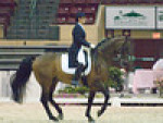 Amalon - Grand Prix Dressage competiton - USA